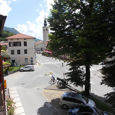 Honey Bee With Sauna