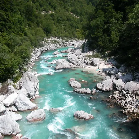 Honey Bee With Sauna Lejlighed