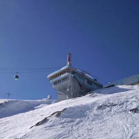 Honey Bee With Sauna Kobarid