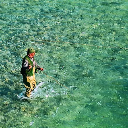 Honey Bee With Sauna Kobarid