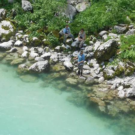 דירה Honey Bee With Sauna *