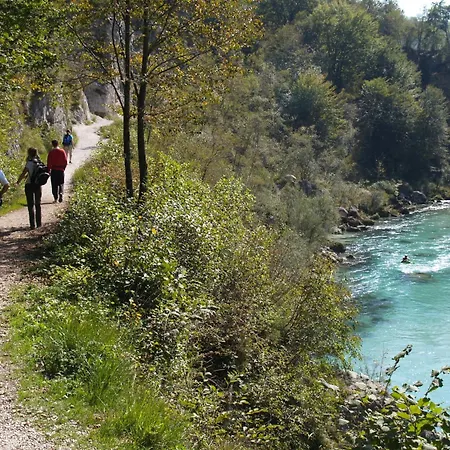 Honey Bee With Sauna *