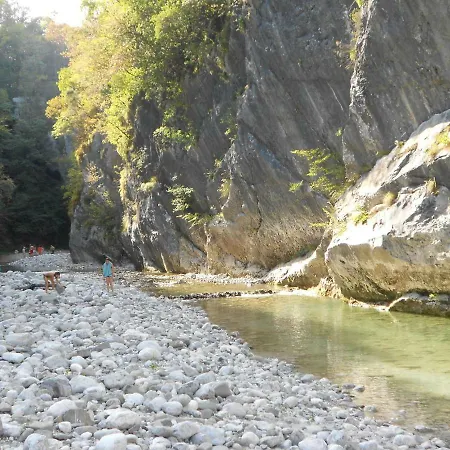 Honey Bee With Sauna דירה