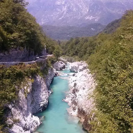 Honey Bee With Sauna דירה