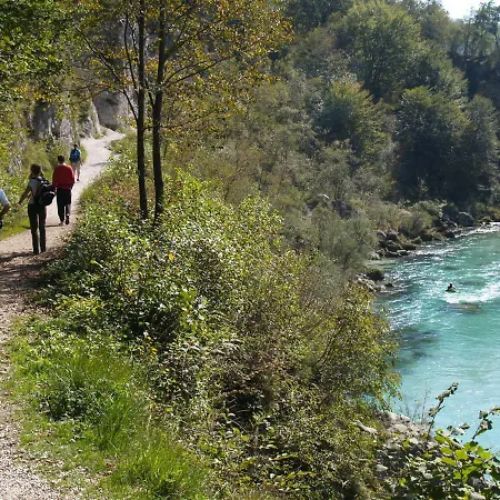 דירה Honey Bee With Sauna *