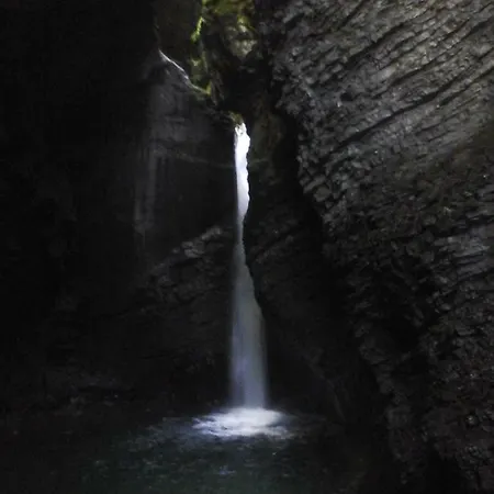 Honey Bee With Sauna דירה