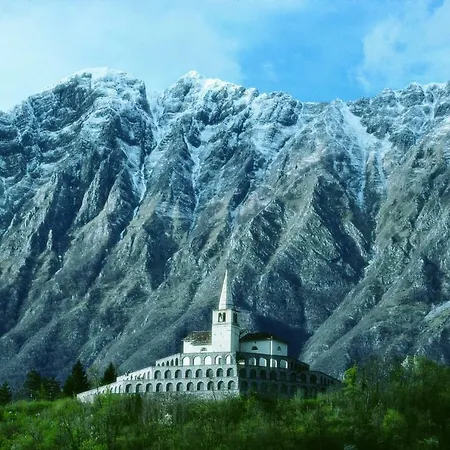 Honey Bee With Sauna קובאריד