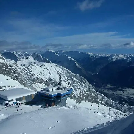 Honey Bee With Sauna *