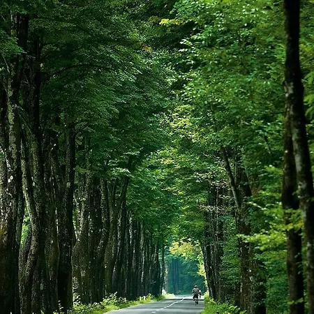 דירה Honey Bee With Sauna *