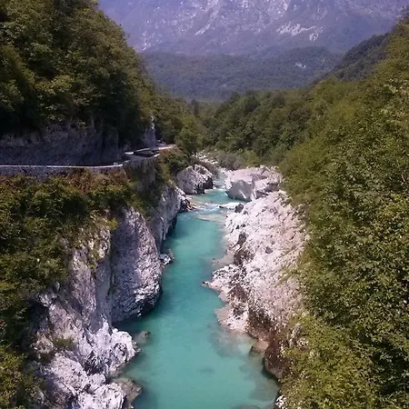 Honey Bee With Sauna *