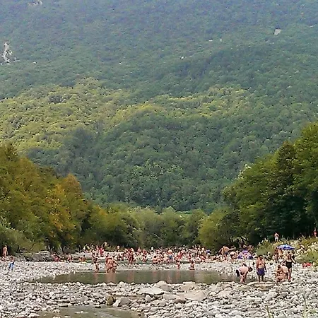 Honey Bee With Sauna *