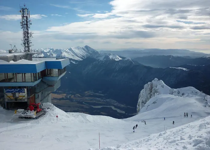 Honey Bee With Sauna كوباريد