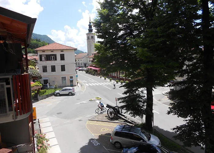 Honey Bee With Sauna