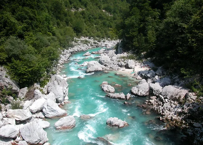 Honey Bee With Sauna Appartement