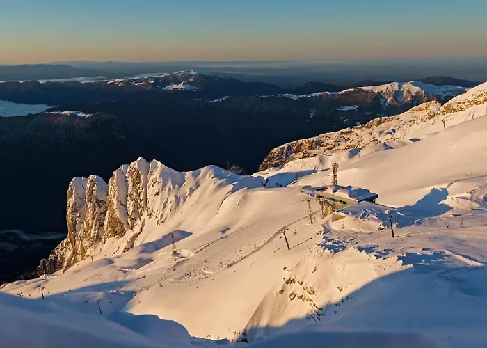 Appartement Honey Bee With Sauna