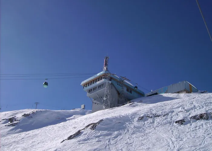 Honey Bee With Sauna Kobarid