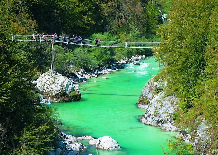 Honey Bee With Sauna *