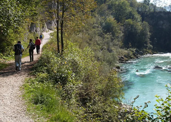 Honey Bee With Sauna *