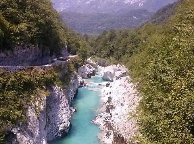 Honey Bee With Sauna Appartement