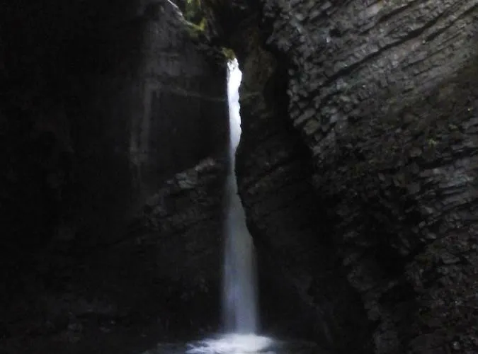 Honey Bee With Sauna Appartement