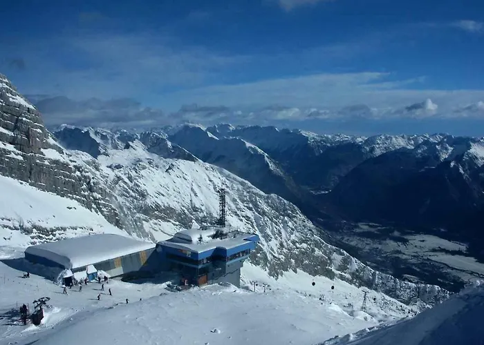 Honey Bee With Sauna *