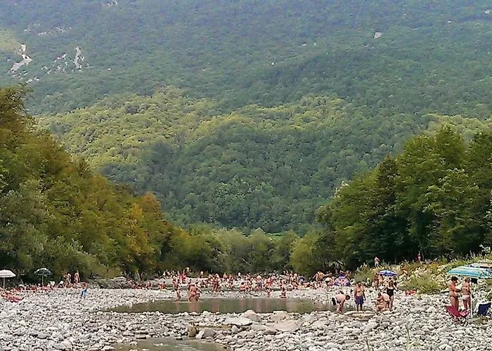 Honey Bee With Sauna *