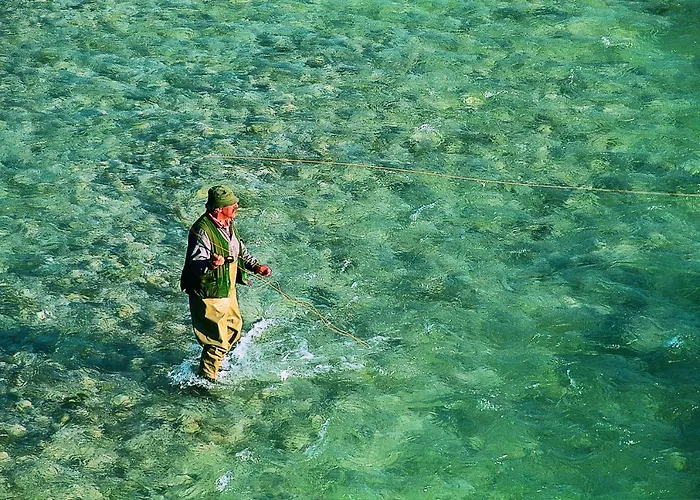 Honey Bee With Sauna