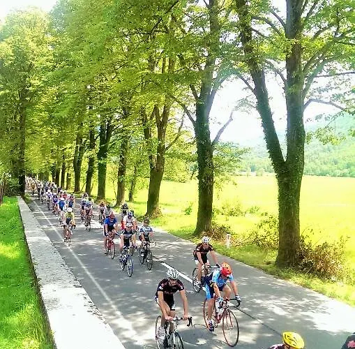 Honey Bee With Sauna Appartement *